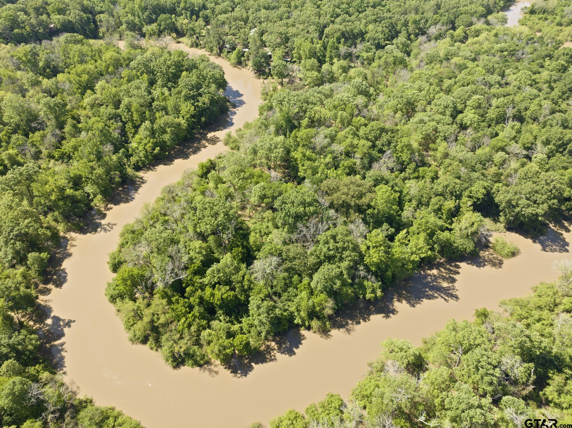 307 Fish Trap Lane Naples, TX 75568 - Photo 26 of 41 a view of a garden with a lake
