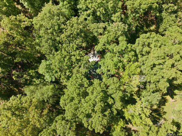 a view of a green yard with an trees