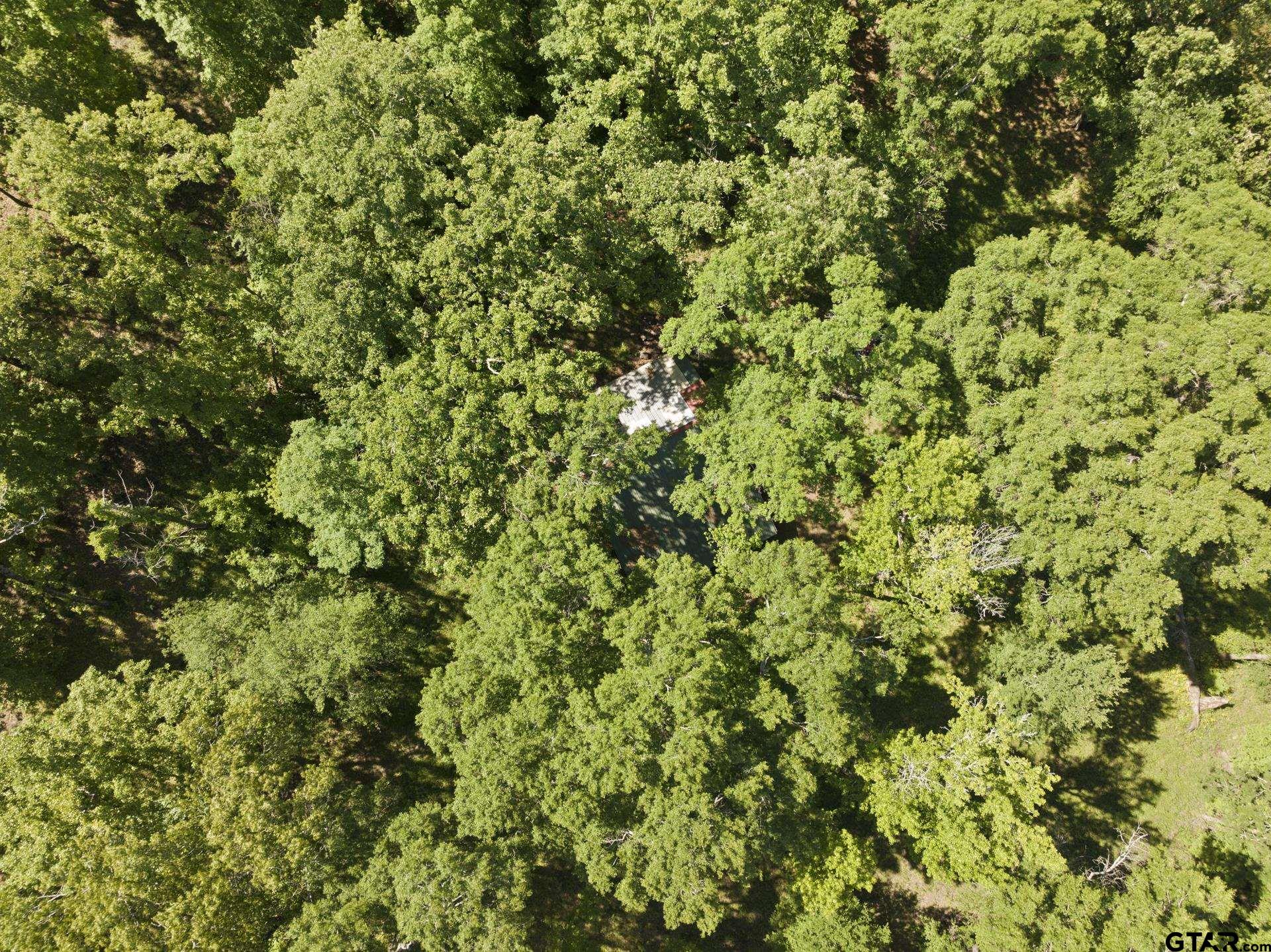 307 Fish Trap Lane Naples, TX 75568 - Photo 30 of 41