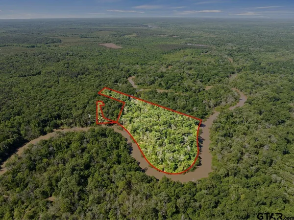 a view of a garden with an outdoor space