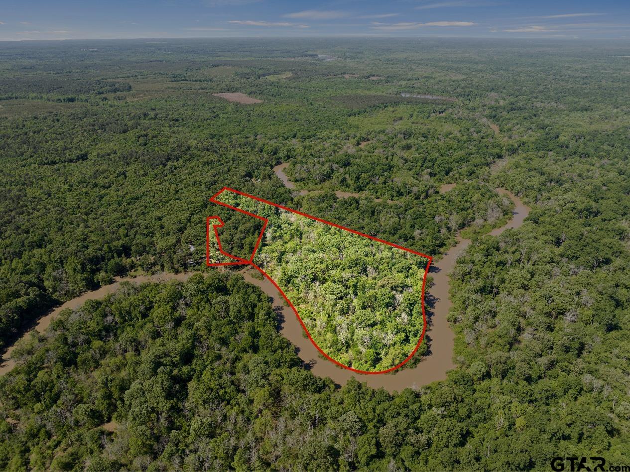 307 Fish Trap Lane Naples, TX 75568 - Photo 32 of 41 a view of a green yard with an trees