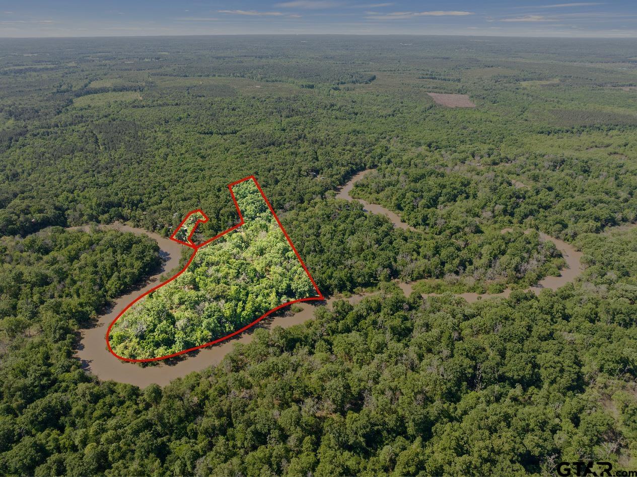 307 Fish Trap Lane Naples, TX 75568 - Photo 34 of 41 a view of a garden with an outdoor space