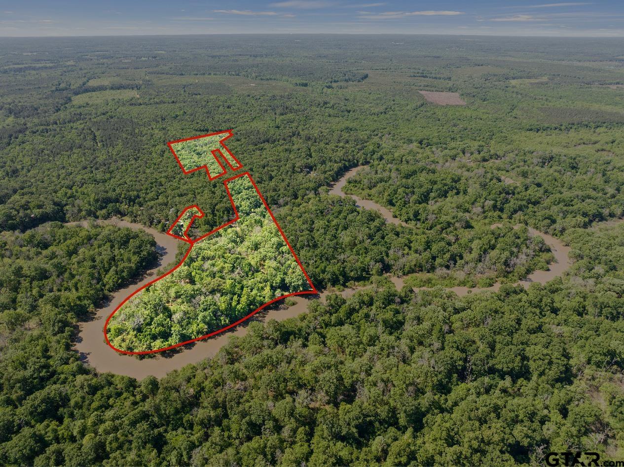 307 Fish Trap Lane Naples, TX 75568 - Photo 35 of 41 a view of a field with an outdoor space