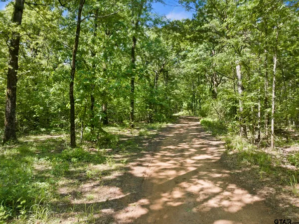 a view of a green field with lots of bushes