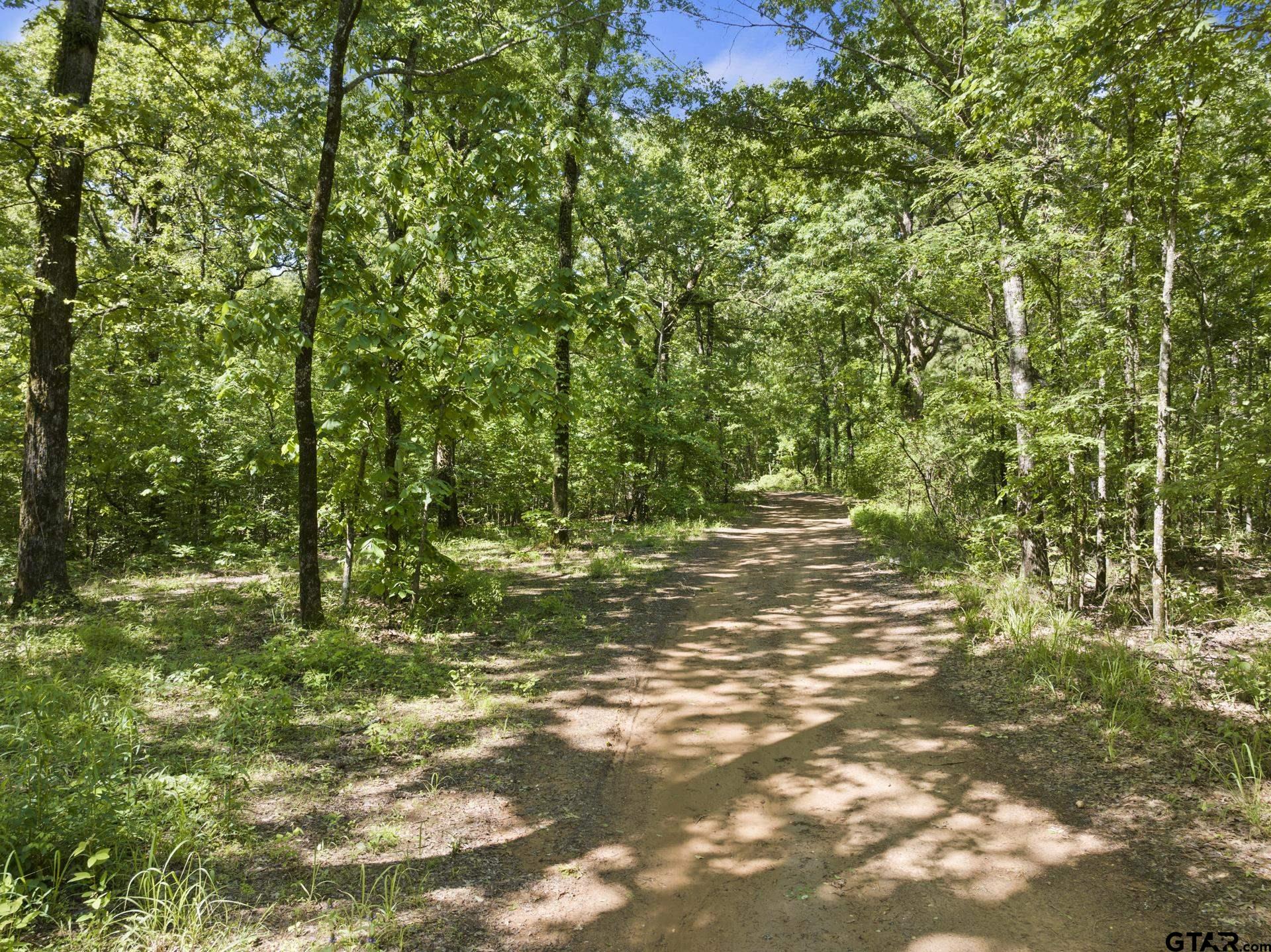 307 Fish Trap Lane Naples, TX 75568 - Photo 36 of 41 a backyard of a house with lots of green space