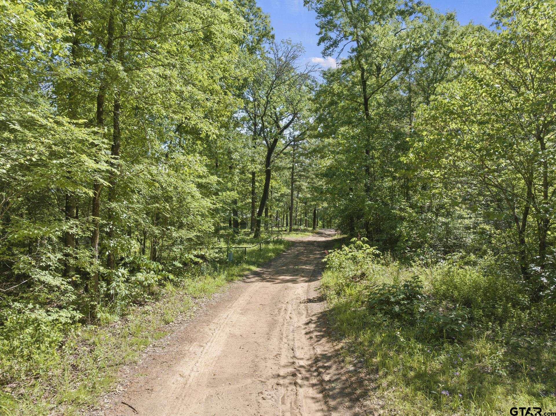 307 Fish Trap Lane Naples, TX 75568 - Photo 37 of 41