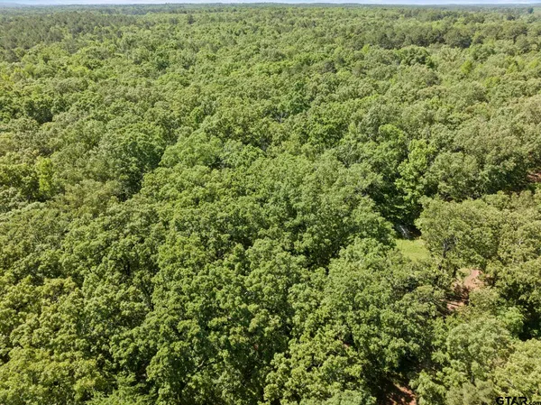 a view of a lush green field