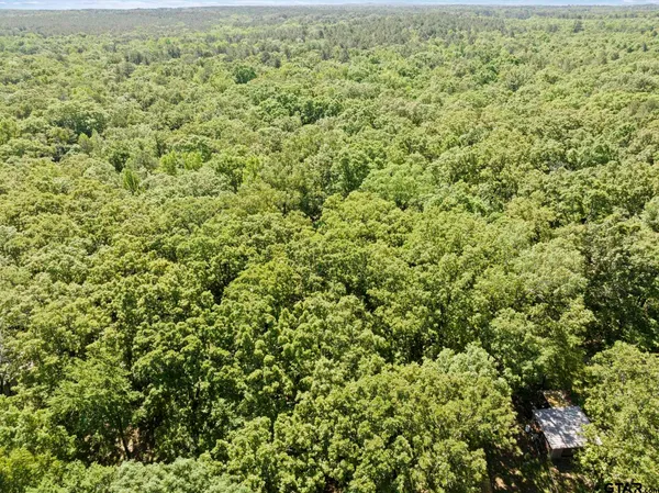 $198,500 | 307 Fish Trap Lane, Naples, TX 75568