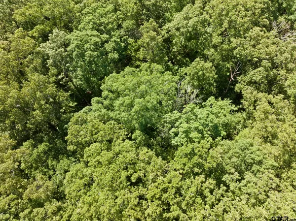 $198,500 | 307 Fish Trap Lane, Naples, TX 75568