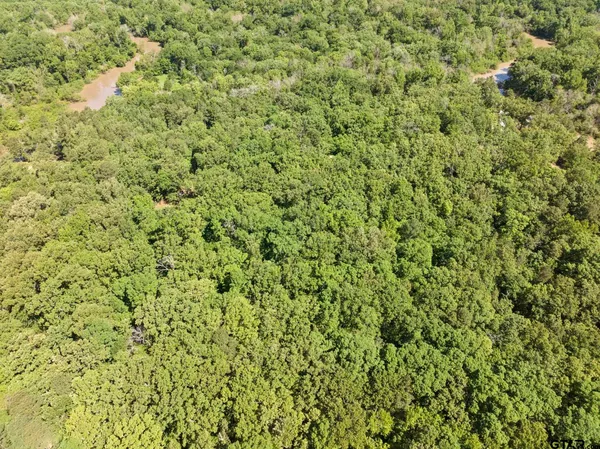 $198,500 | 307 Fish Trap Lane, Naples, TX 75568