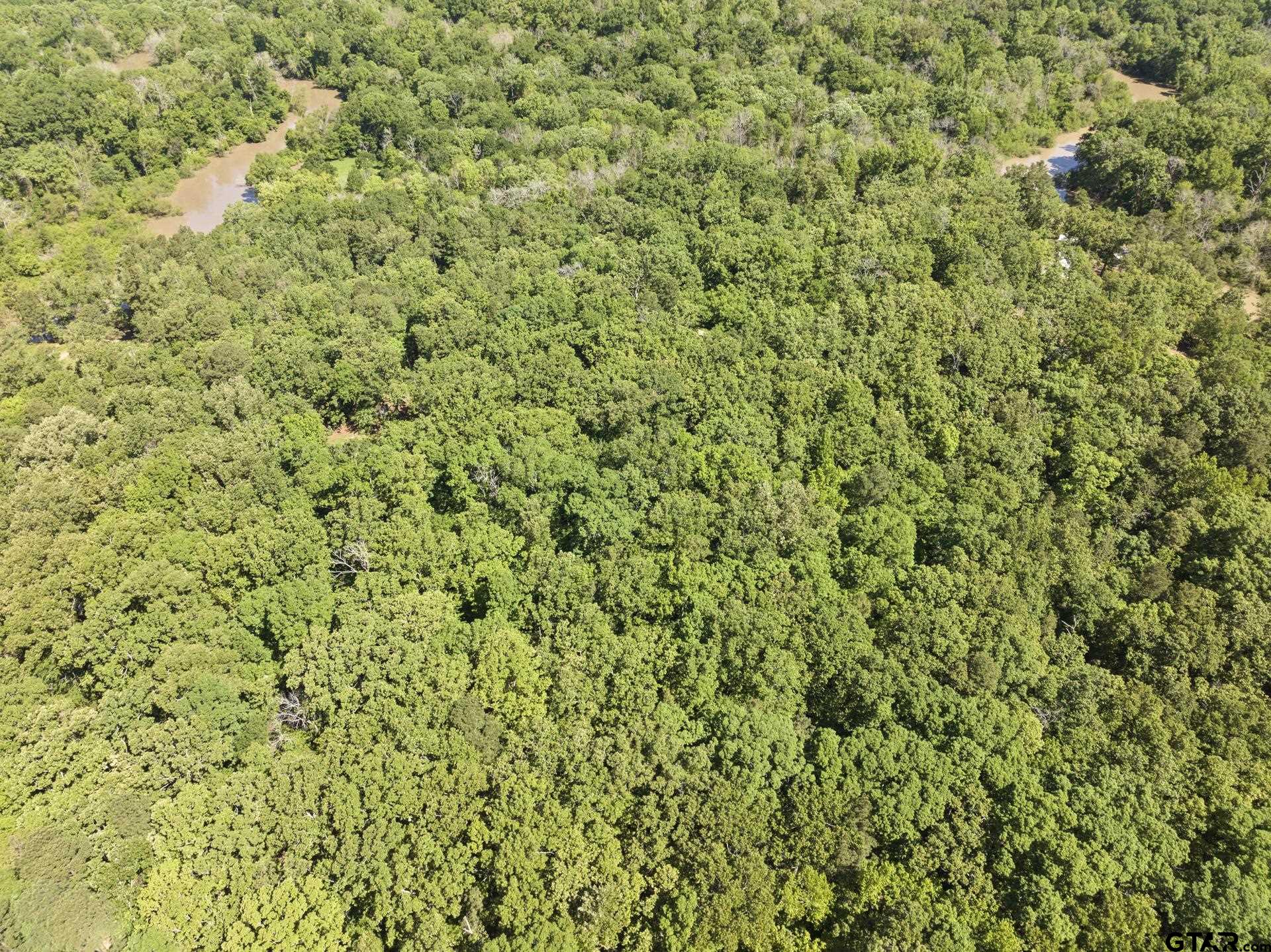 307 Fish Trap Lane Naples, TX 75568 - Photo 41 of 41 a view of a lush green field