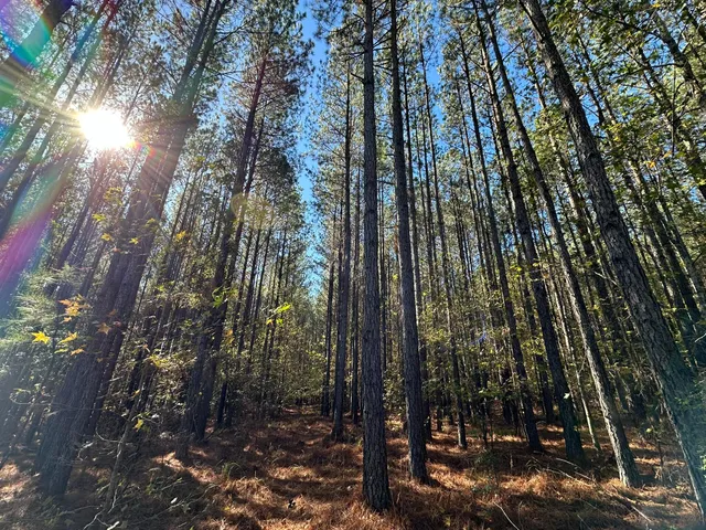 $99,000 | 1277 Edge Lane, Tignall, GA 30668