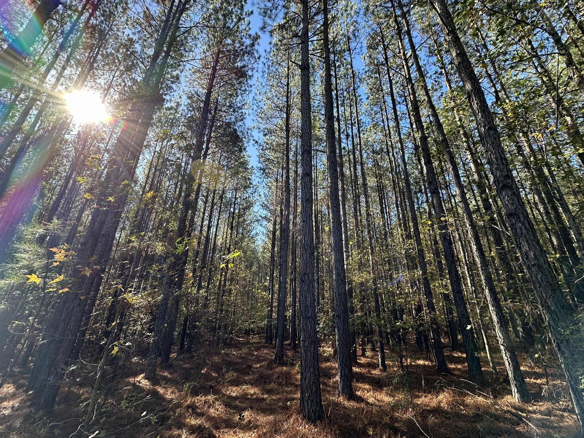 1277 Edge Lane Tignall, GA 30668 - Photo 2 of 16 IMG_9269