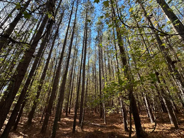 $99,000 | 1277 Edge Lane, Tignall, GA 30668