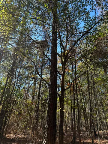 $99,000 | 1277 Edge Lane, Tignall, GA 30668