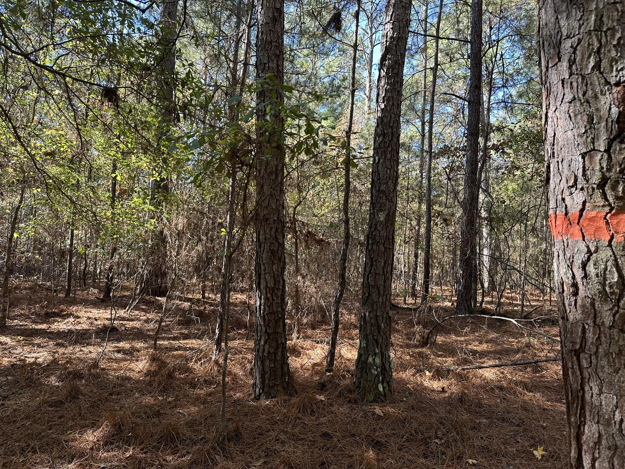 1277 Edge Lane Tignall, GA 30668 - Photo 5 of 16 us army corps line