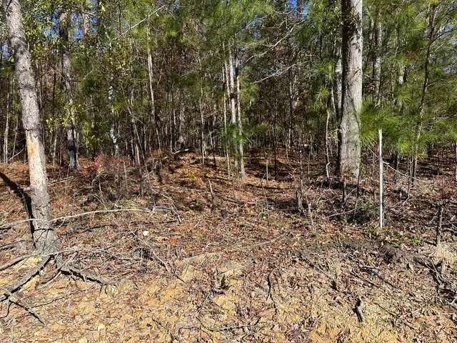 $99,000 | 1277 Edge Lane, Tignall, GA 30668