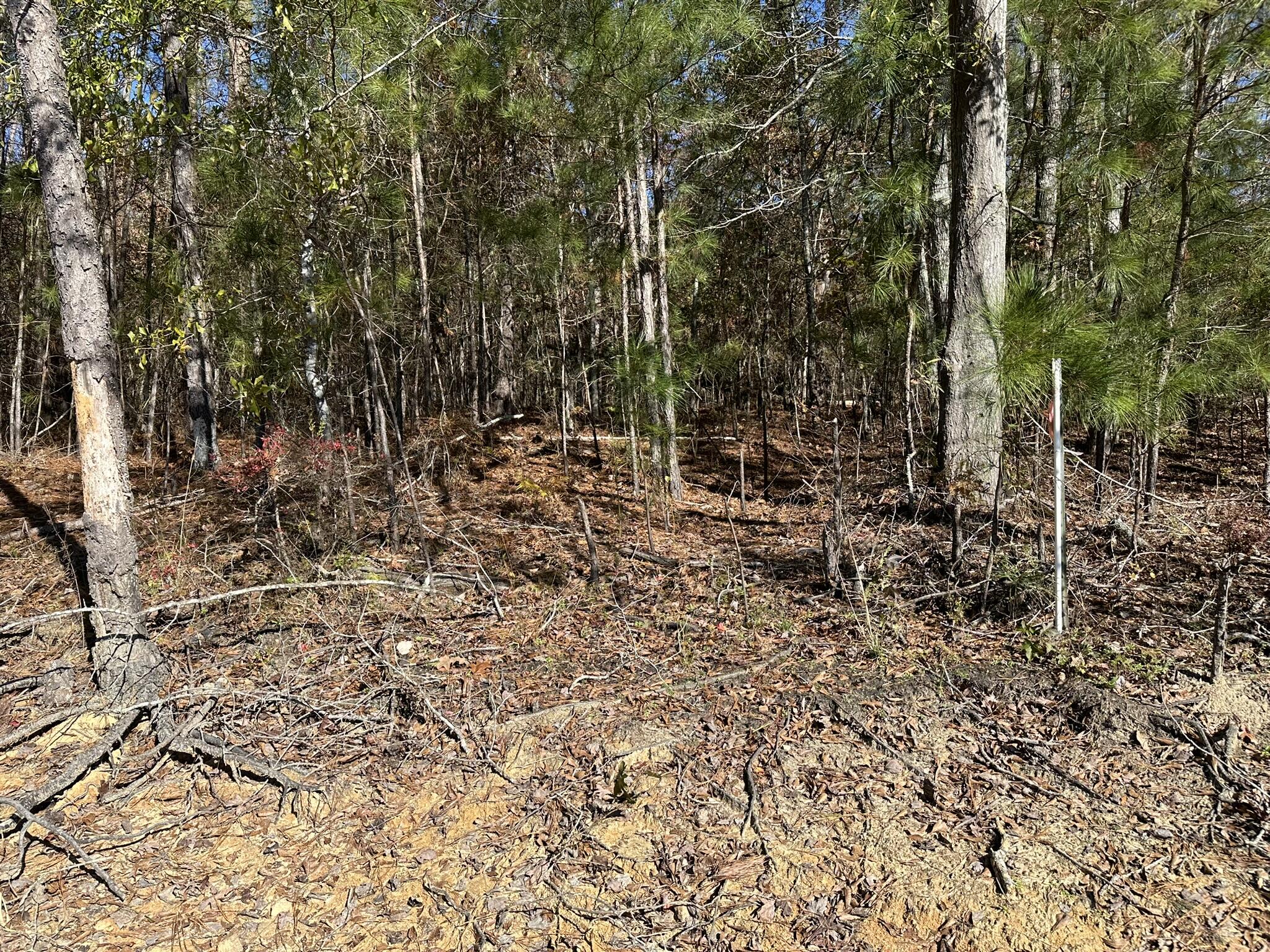 1277 Edge Lane Tignall, GA 30668 - Photo 6 of 16 potential dock site