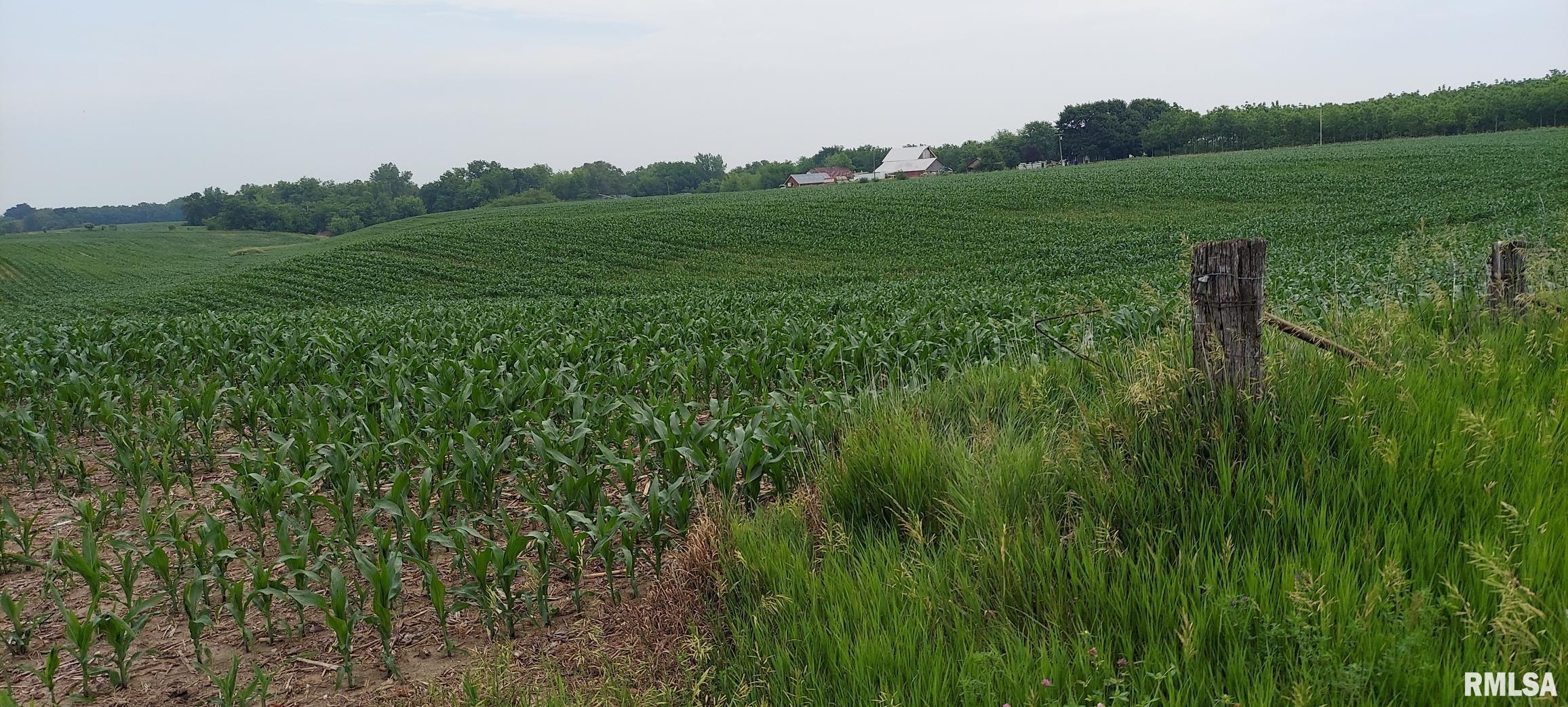 0 West 173rd Avenue Taylor Ridge, IL 61284 - Photo 1 of 2 Gallery Image 1