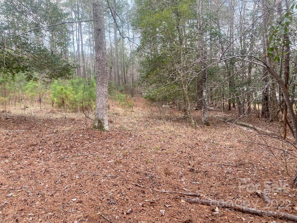 1722 Thunderwood Road Lugoff, SC 29078 - Photo 3 of 6 a view of a yard with trees in the background