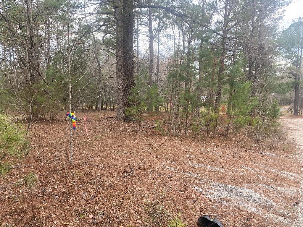 1722 Thunderwood Road Lugoff, SC 29078 - Photo 6 of 6 a ground with lots of trees