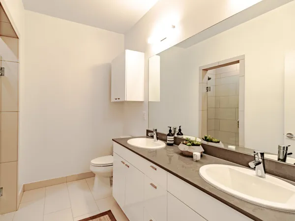 a bathroom with a double vanity sink toilet and mirror