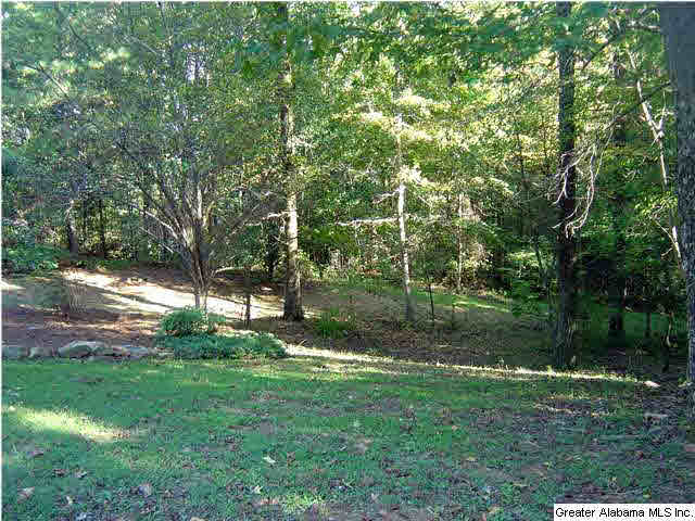 1710 Sandy Ridge Way Hoover, AL 35244 - Photo 28 of 28