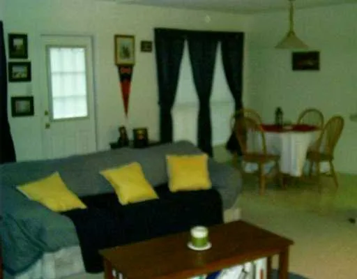 a living room with a table chairs and a potted plant