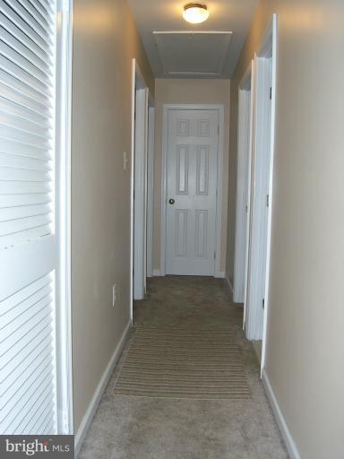 Interior (General)