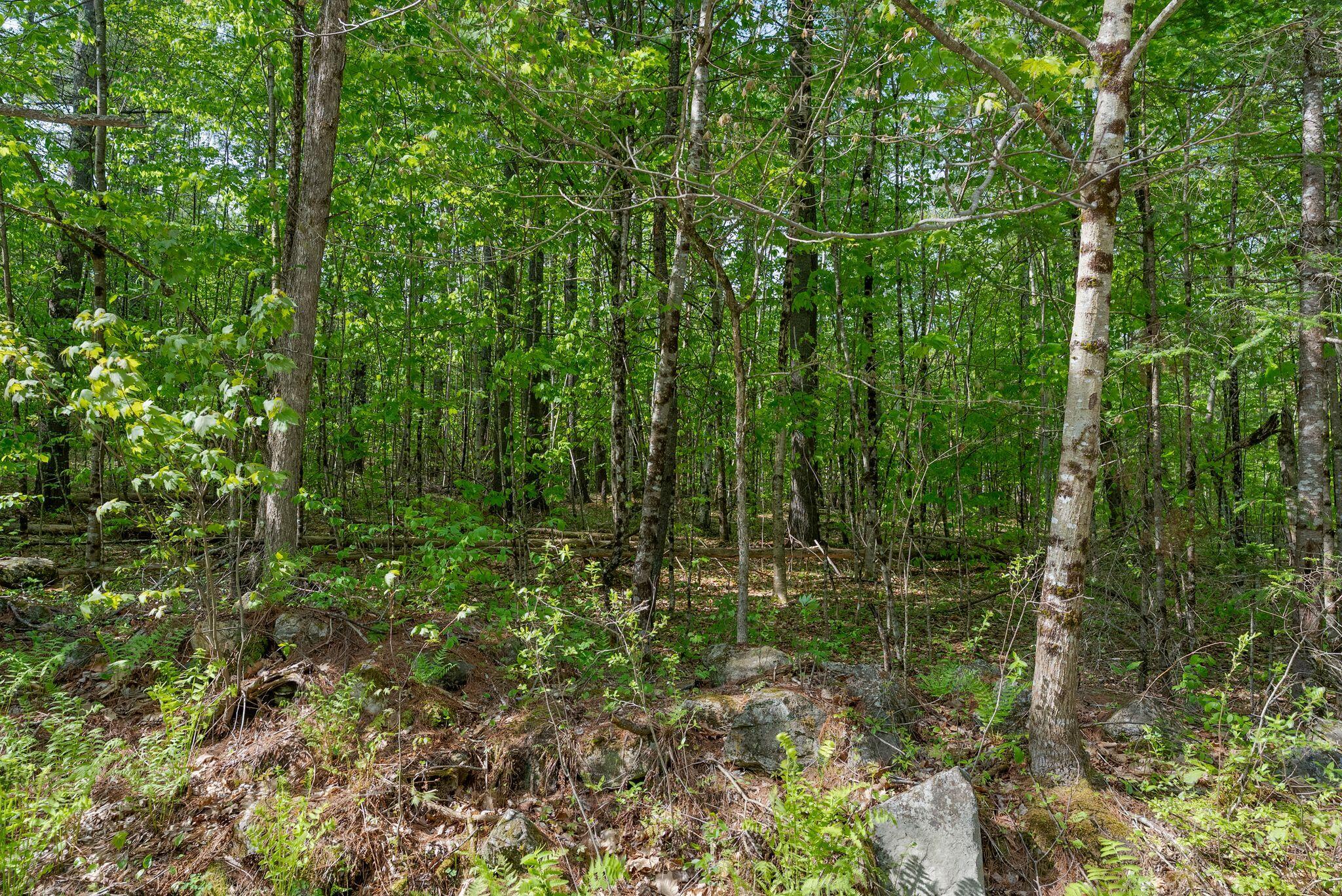 Lot C Shady Nook Road West Newfield, ME 04095 - Photo 2 of 12 2_DSC07877 copy