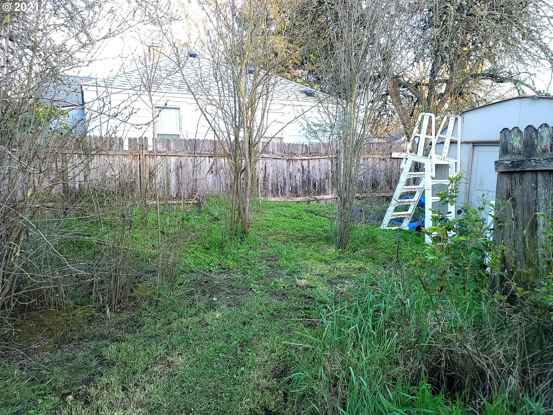 912 N Street Springfield, OR 97477 - Photo 24 of 24