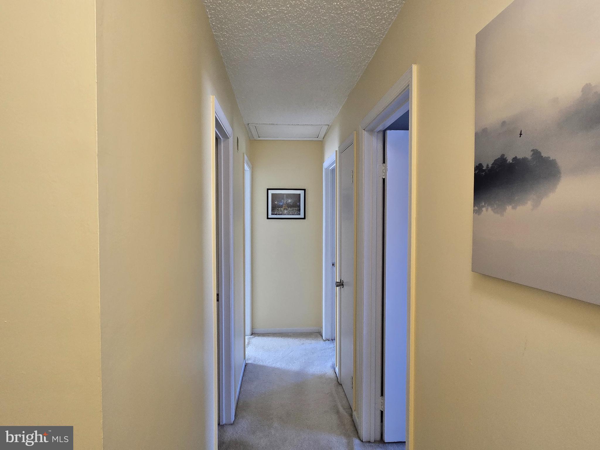 913 Spring Garden Lane Virginia Beach, VA 23452 - Photo 19 of 31 Upstairs Hallway