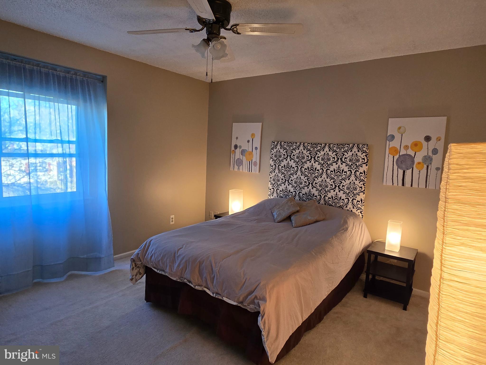 913 Spring Garden Lane Virginia Beach, VA 23452 - Photo 20 of 31 Main Bedroom