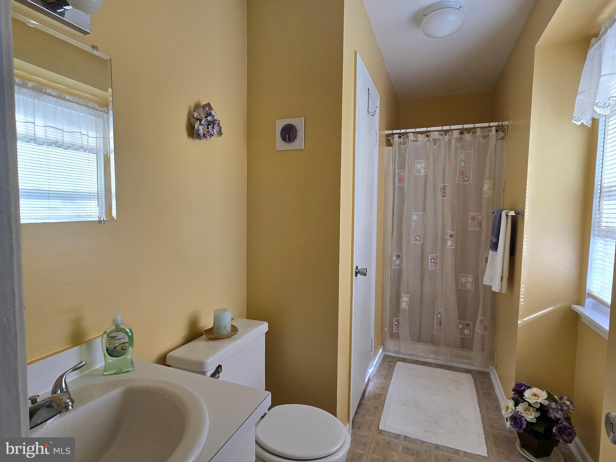 913 Spring Garden Lane Virginia Beach, VA 23452 - Photo 22 of 31 Main Bathroom