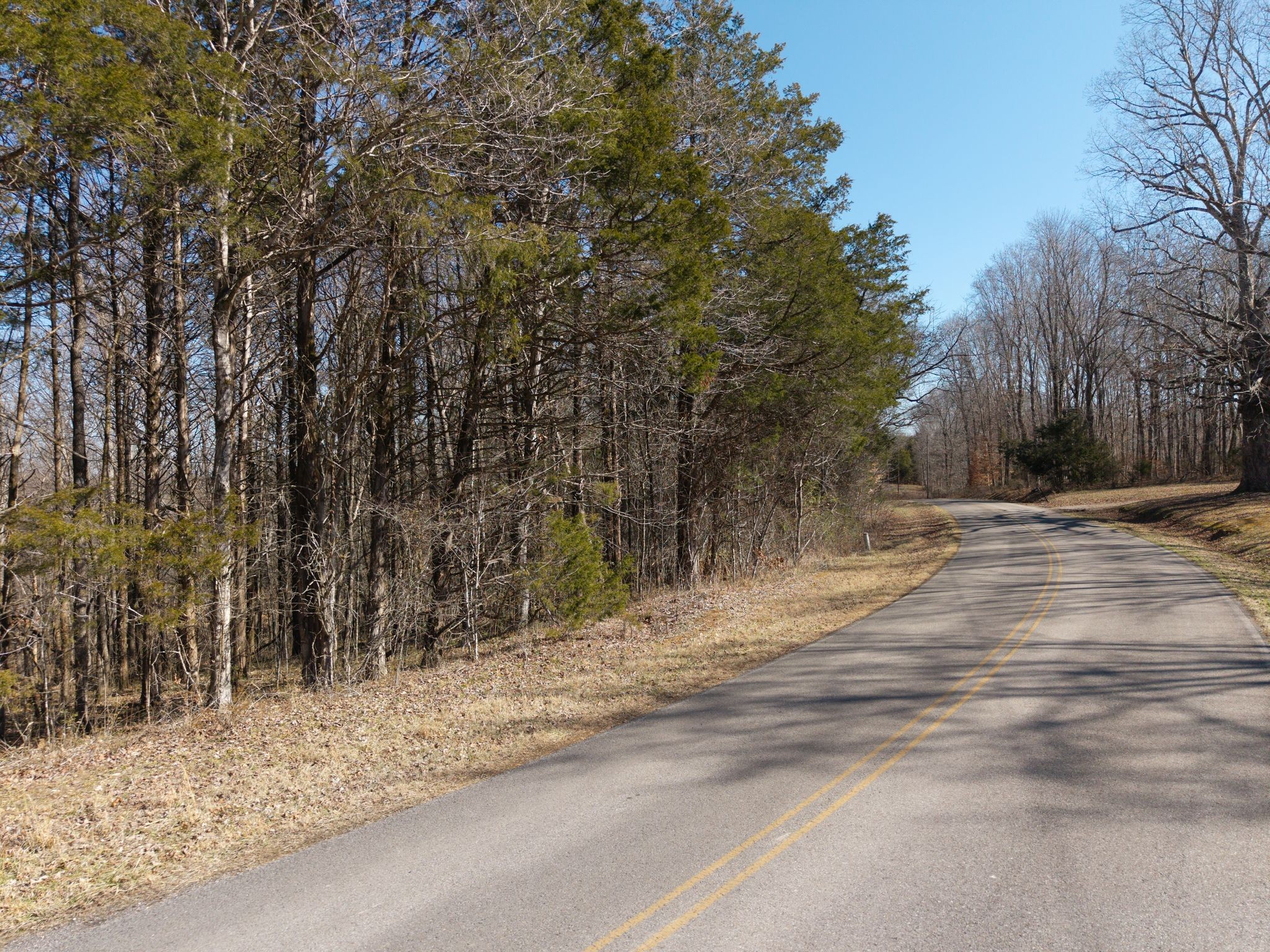 0 Collier Bend Road Charlotte, TN 37036 - Photo 11 of 63