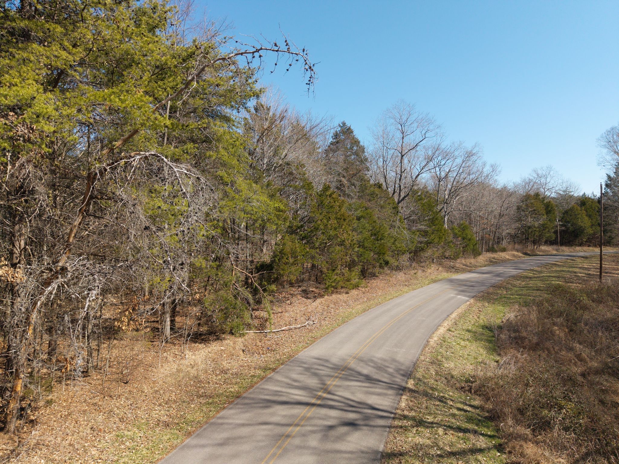 0 Collier Bend Road Charlotte, TN 37036 - Photo 12 of 63 a view of a yard with large trees