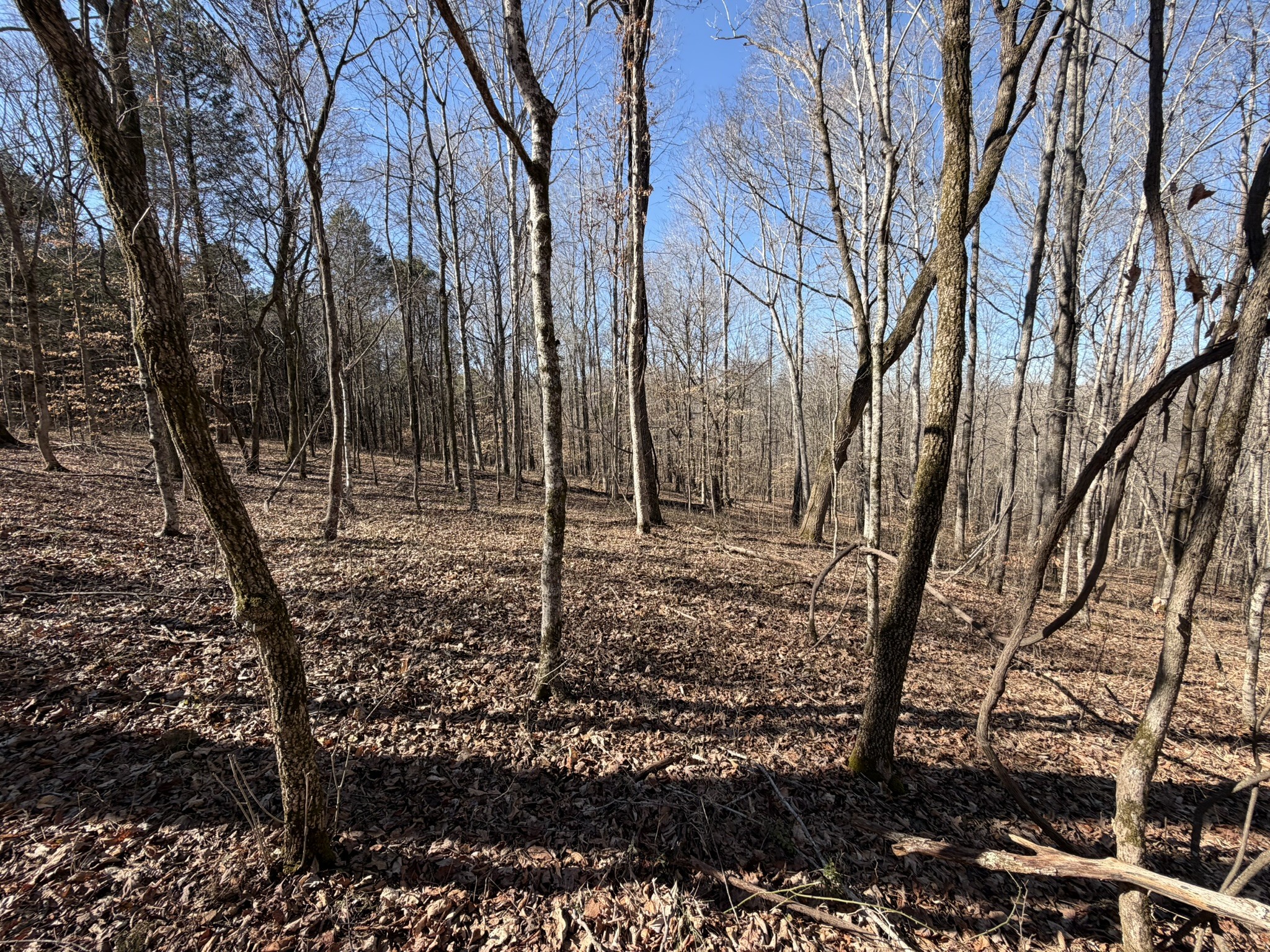 0 Collier Bend Road Charlotte, TN 37036 - Photo 21 of 63