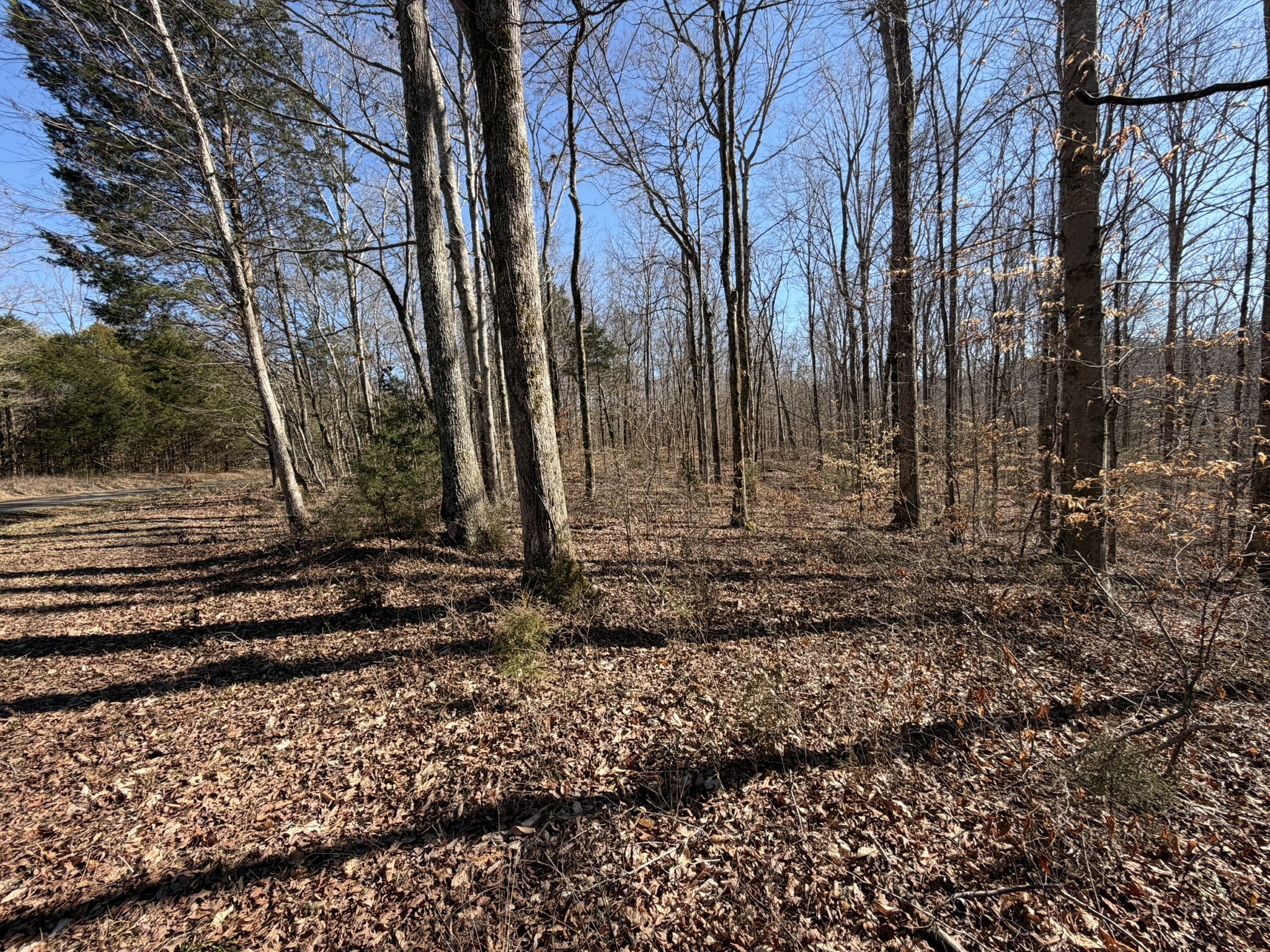 0 Collier Bend Road Charlotte, TN 37036 - Photo 26 of 63 a view of a backyard with large trees