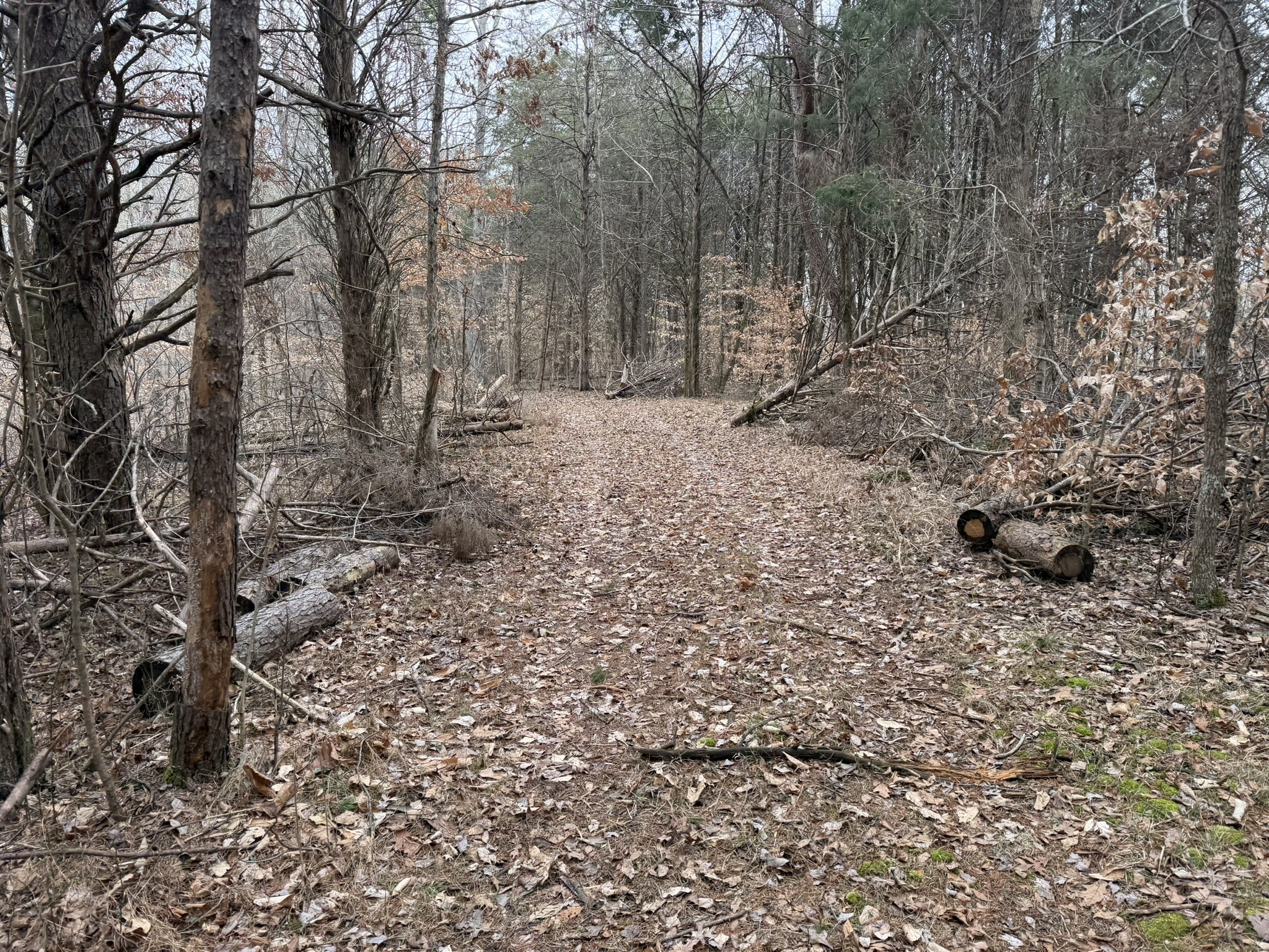 0 Collier Bend Road Charlotte, TN 37036 - Photo 30 of 63