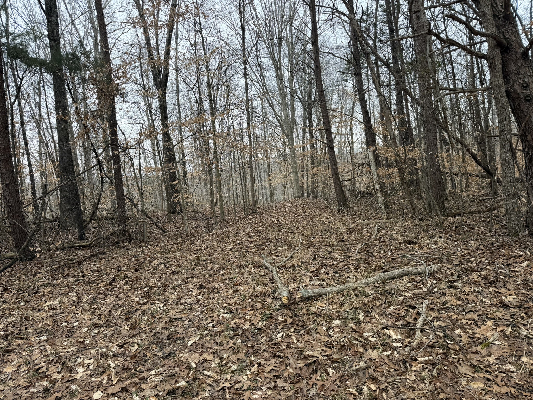 0 Collier Bend Road Charlotte, TN 37036 - Photo 33 of 63