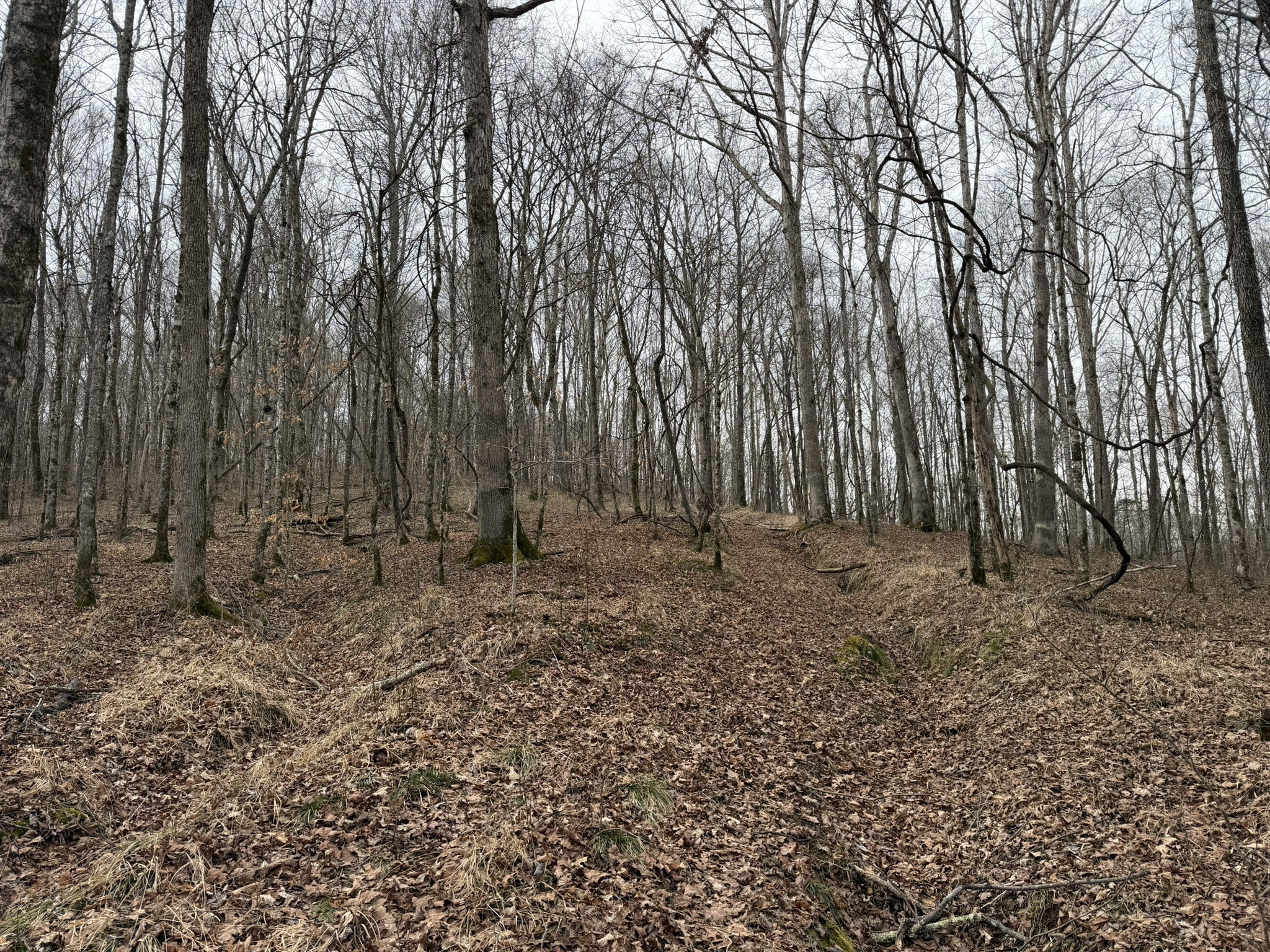 0 Collier Bend Road Charlotte, TN 37036 - Photo 34 of 63