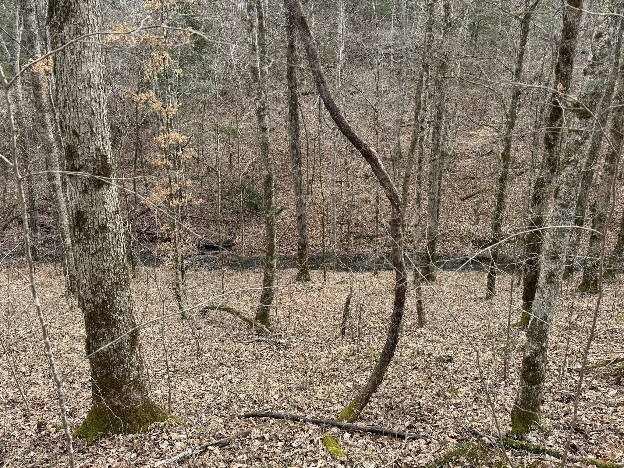 0 Collier Bend Road Charlotte, TN 37036 - Photo 37 of 63
