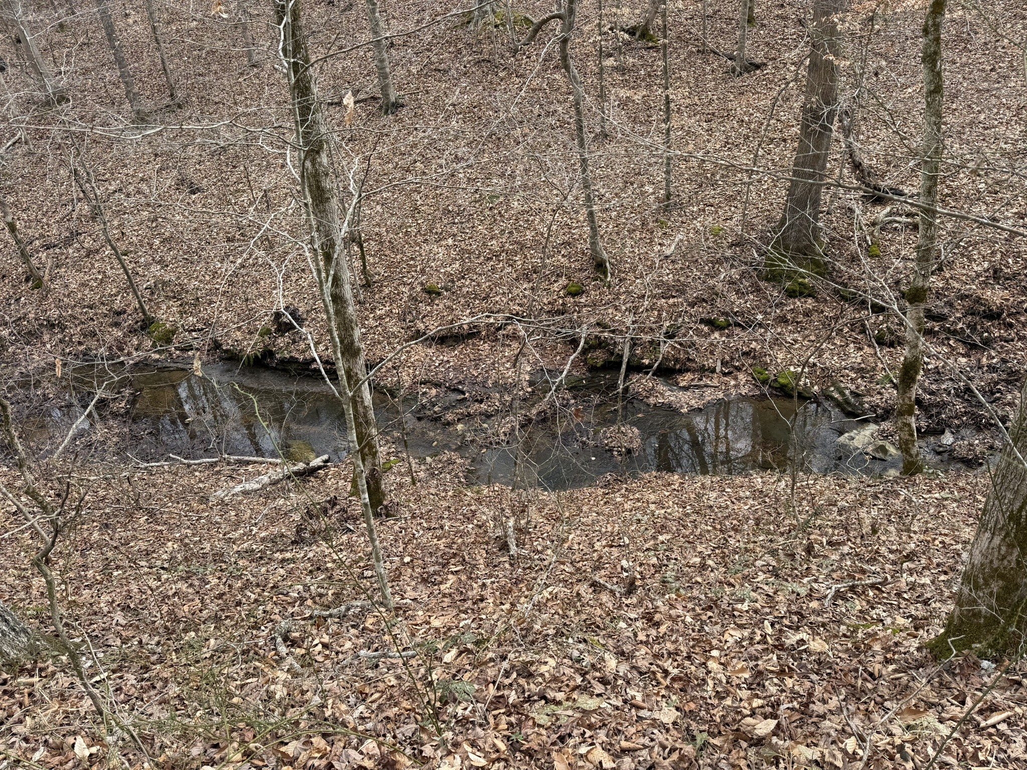 0 Collier Bend Road Charlotte, TN 37036 - Photo 40 of 63