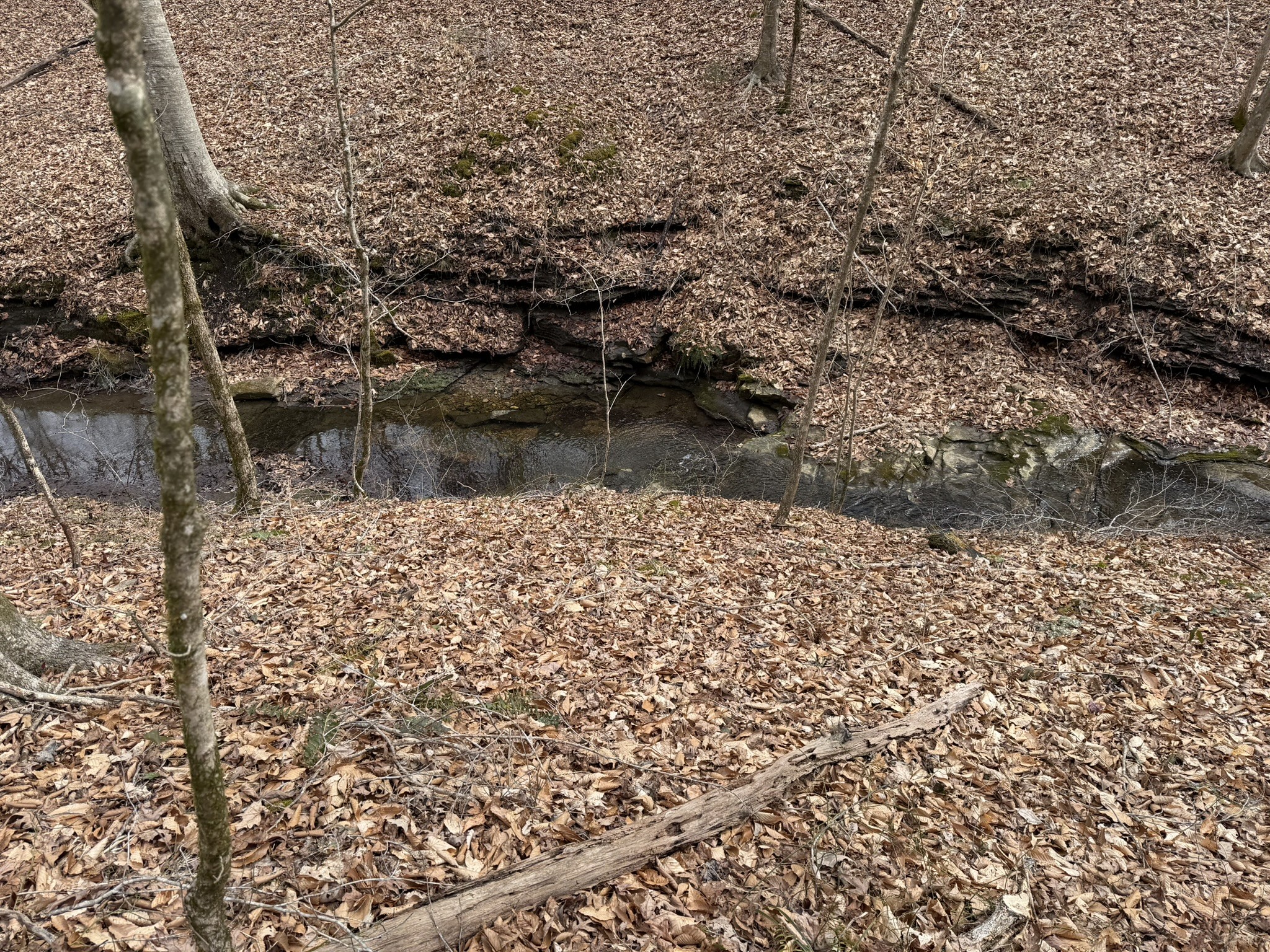 0 Collier Bend Road Charlotte, TN 37036 - Photo 44 of 63
