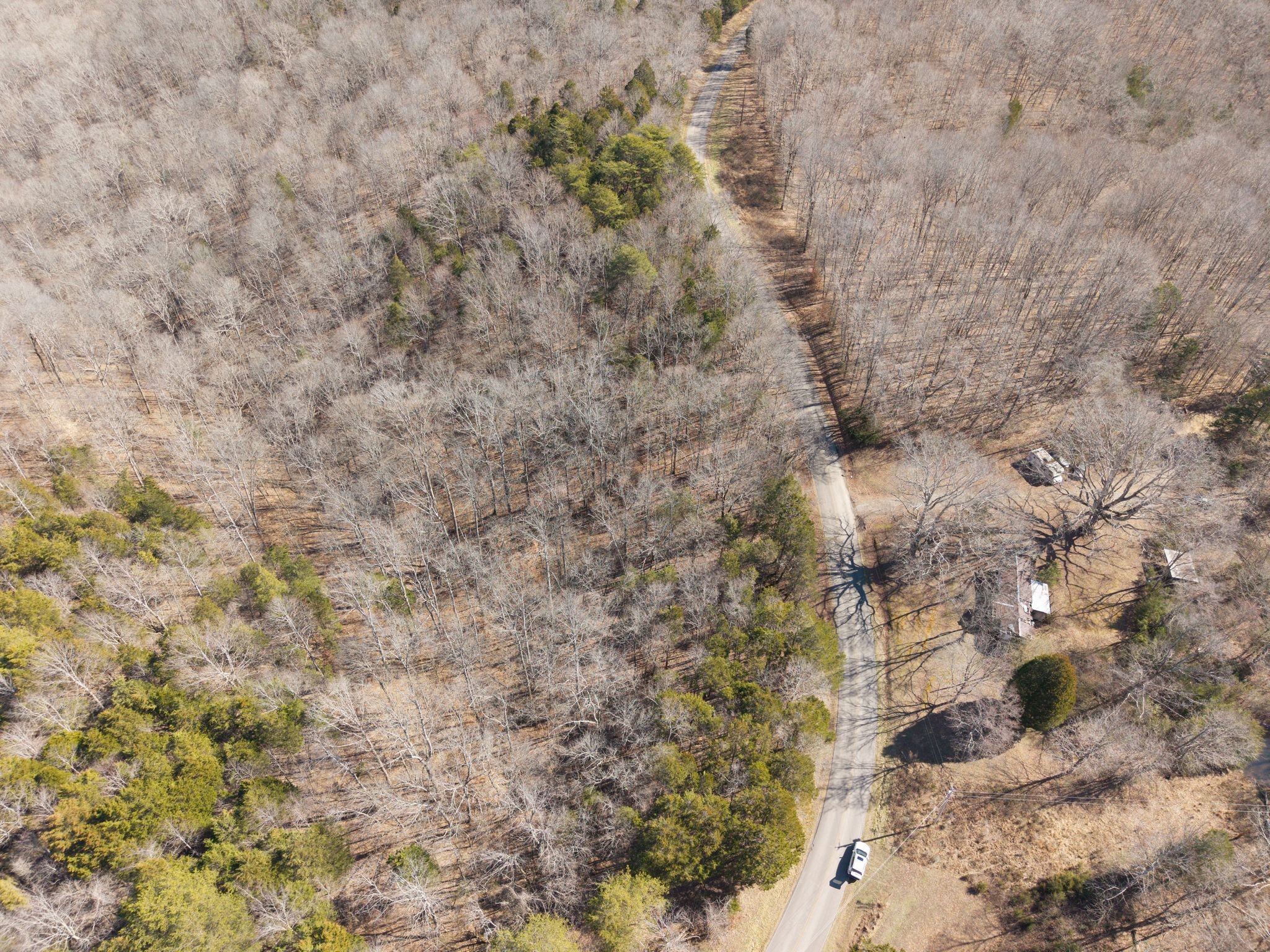 0 Collier Bend Road Charlotte, TN 37036 - Photo 5 of 63 a close up of a tree
