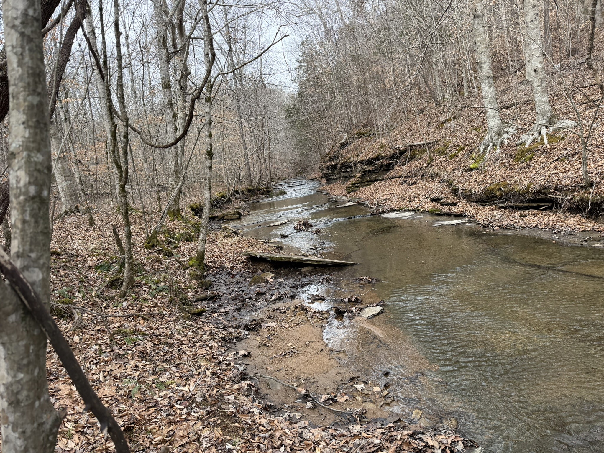 0 Collier Bend Road Charlotte, TN 37036 - Photo 52 of 63