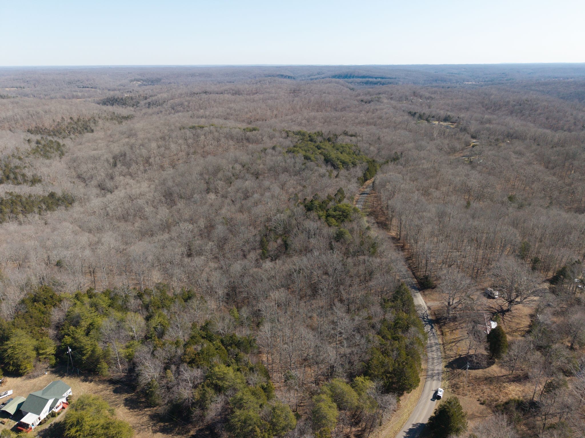 0 Collier Bend Road Charlotte, TN 37036 - Photo 6 of 63 an aerial view of forest