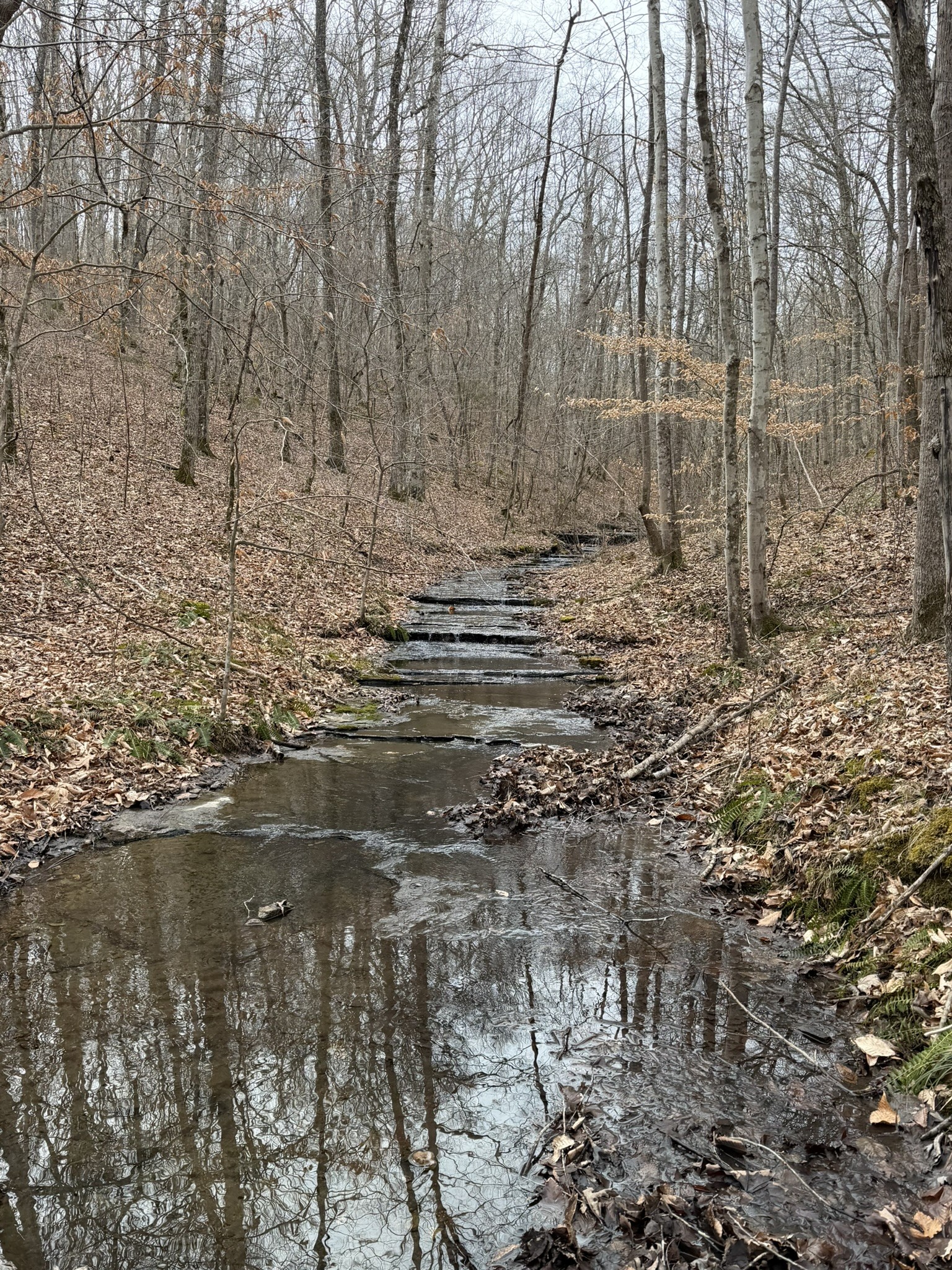 0 Collier Bend Road Charlotte, TN 37036 - Photo 62 of 63