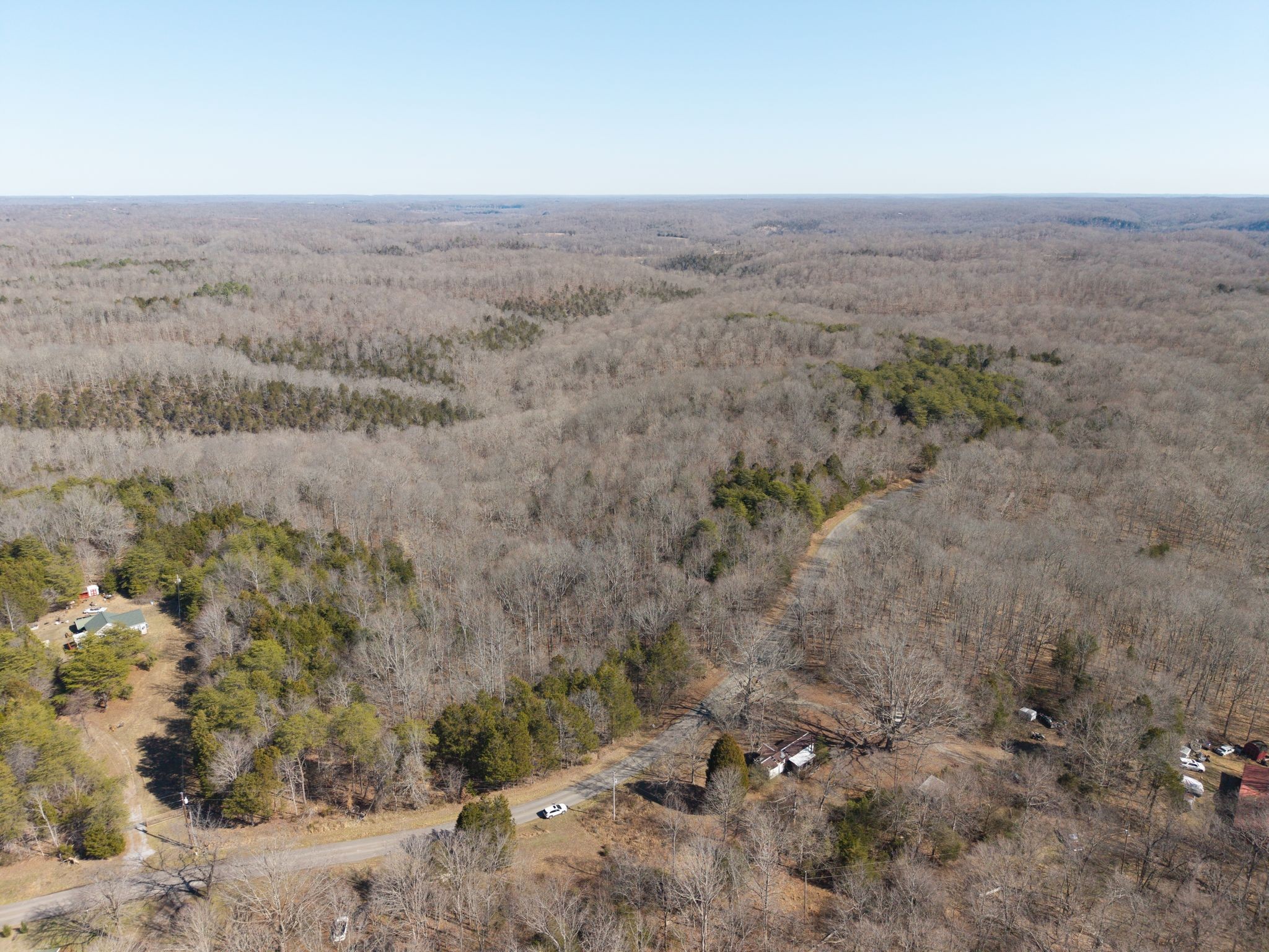 0 Collier Bend Road Charlotte, TN 37036 - Photo 8 of 63 a view of a dry yard with trees