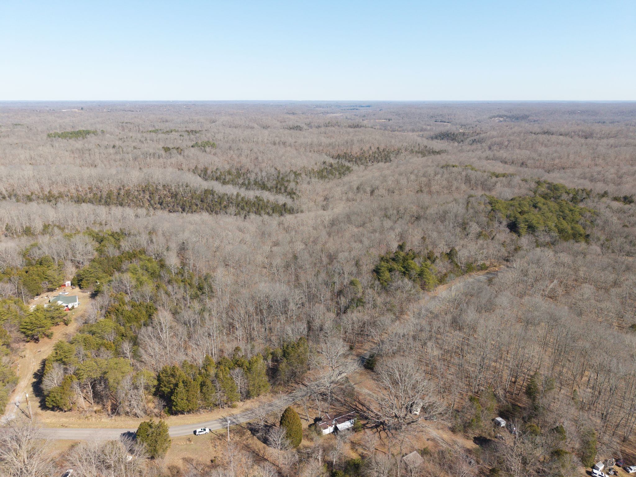 0 Collier Bend Road Charlotte, TN 37036 - Photo 9 of 63 a view of a dry yard with trees
